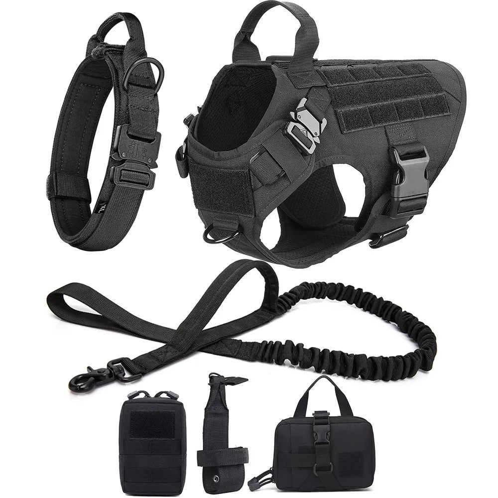 Padded Dog Harness & Lead Set | Safe Walks