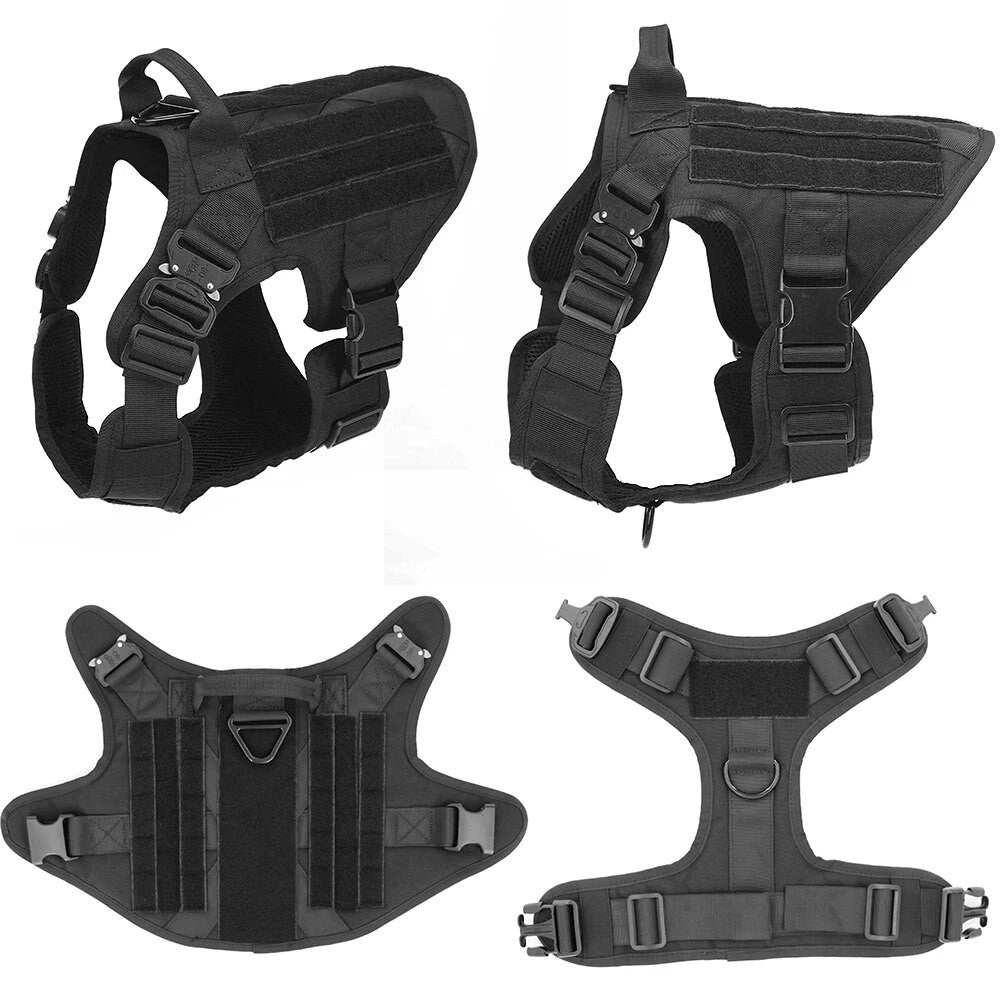 Padded Dog Harness & Lead Set | Safe Walks