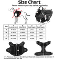 Padded Dog Harness & Lead Set | Safe Walks